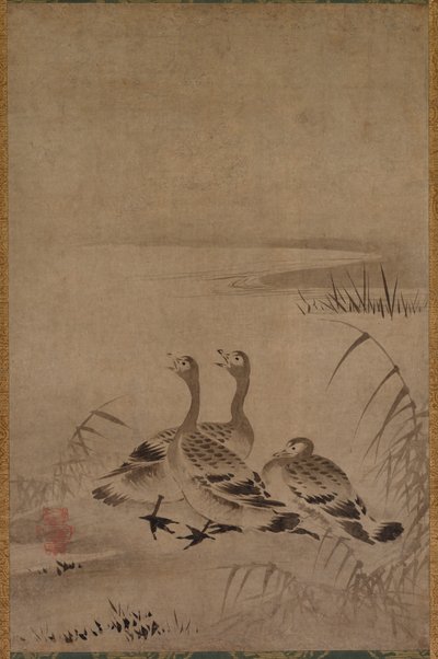 Oche Selvatiche da Chōkichi