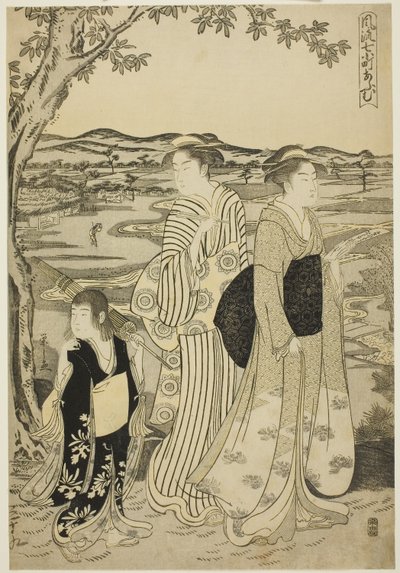Pappagallo Komachi, dalla serie Le sette Komachi alla moda (Furyu nana Komachi), c.1788 da Chobunsai Eishi