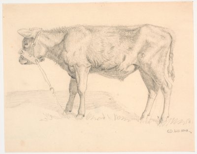 Un vitello da Christen Dalsgaard