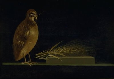 Una quaglia che mangia una spiga di grano da Christen Købke