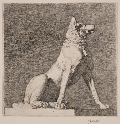 Un cane seduto dopo un