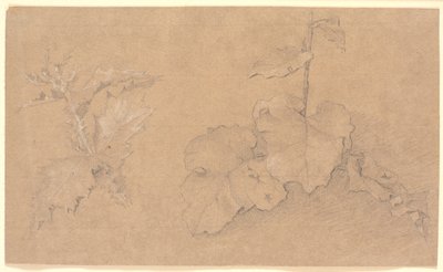 Studi di piante da Christen Købke