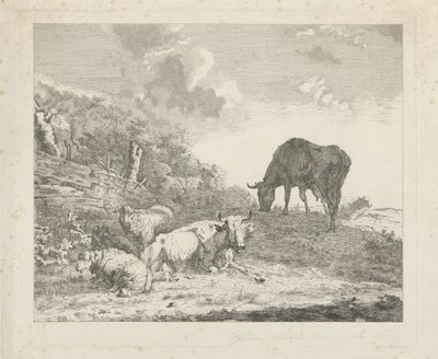 Paesaggio con bestiame da Christiaan Godfried Schutze van Houten