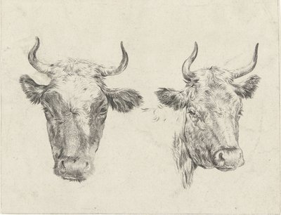 Due teste di mucca da Christiaan Godfried Schutze van Houten