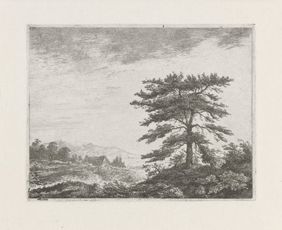 Albero in un paesaggio di brughiera da Christiaan Wilhelmus Moorrees