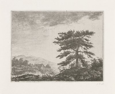 Albero in un paesaggio di brughiera da Christiaan Wilhelmus Moorrees