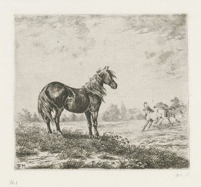 Paesaggio con tre cavalli da Christiaan Wilhelmus Moorrees