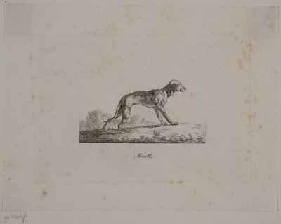 Minette da Christian David Gebauer