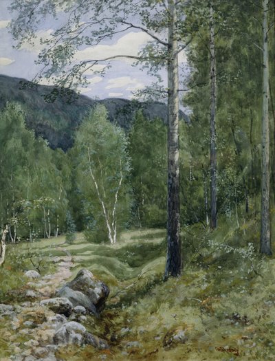 Primavera nella foresta da Christian Eriksen Skredsvig