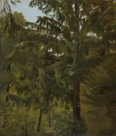 Abete nella foresta di latifoglie da Christian Friedrich Gille