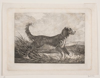 Un cane da Christian Holm