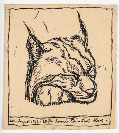 Lince addormentata da Christian Kongstad Petersen