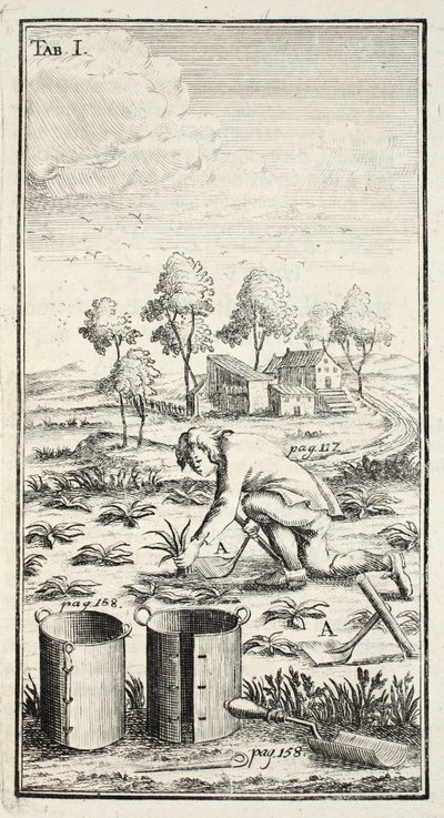 Giardiniere che raccoglie, pub. Erfurt in Turingia da Christian Reicharts