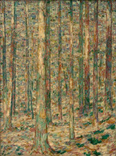 Tronchi di pino alla luce del sole da Christian Rohlfs