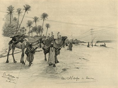 Conduttori di cammelli sulle rive del Nilo ad Assuan, Egitto, 1898 da Christian Wilhelm Allers