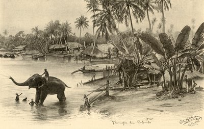 Lavaggio di un elefante nel fiume, Colombo, Ceylon, 1898 da Christian Wilhelm Allers