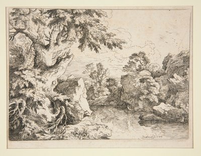Paesaggio con stagno bordato da rocce e alberi da Christian Wilhelm Ernst Dietrich