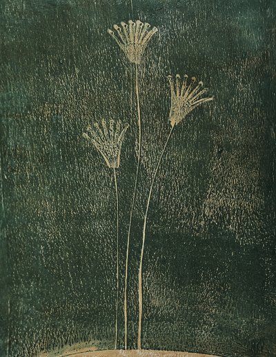 Fiori verdi da Christina Misuro