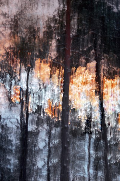 Luce della foresta astratta da Christina Sillen