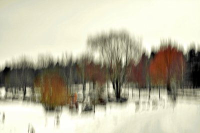 Foresta invernale (astratta) da Christina Sillen
