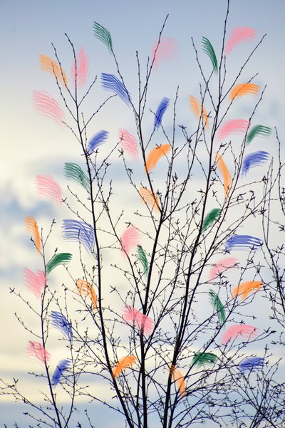 Rami primaverili dai colori vivaci da Christina Sillen