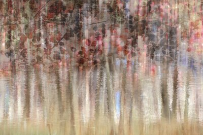 Riflessioni autunnali da sogno da Christina Sillen
