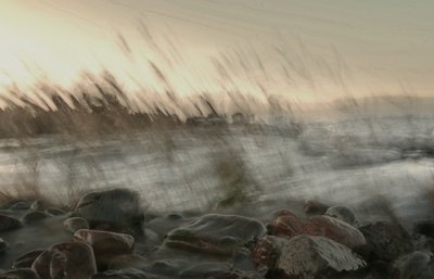 Un movimento costiero da sogno da Christina Sillen