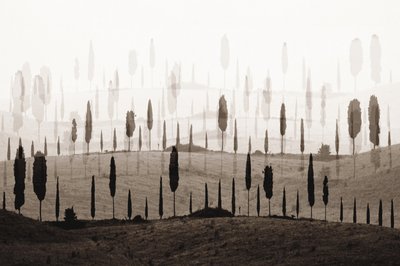 Le incantevoli colline di Cypress da Christina Sillen