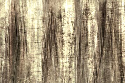 Linee da foresta da sogno da Christina Sillen