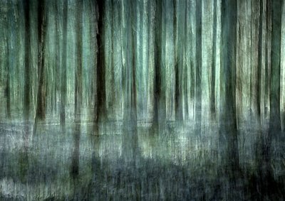 Sfocatura della foresta eterea da Christina Sillen