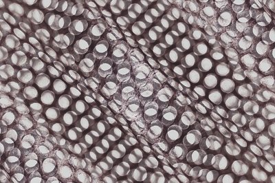 Gioco di ombre geometriche da Christina Sillen
