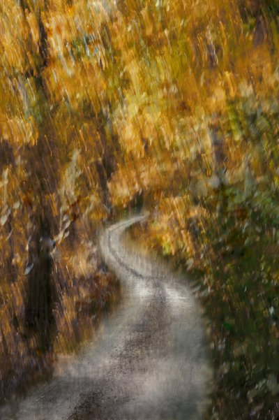 La strada dell