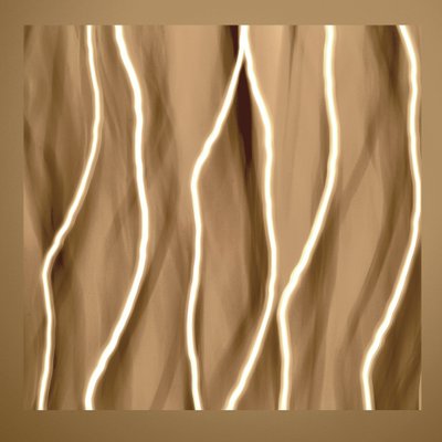 Linee fluide dorate da Christina Sillen