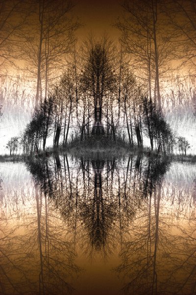 Il lago della foresta specchiata da Christina Sillen