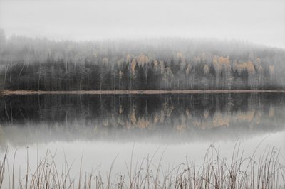 Il lago autunnale avvolto nella nebbia da Christina Sillen