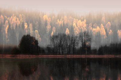 Riflessi autunnali nella nebbia da Christina Sillen