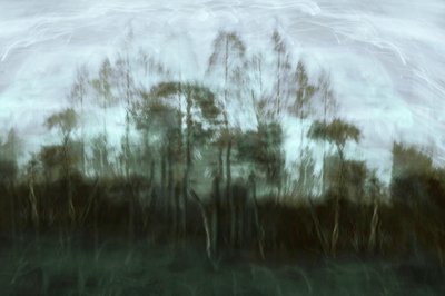 Il sogno della foresta nebbiosa da Christina Sillen