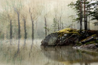 Il lago della foresta nebbiosa da Christina Sillen