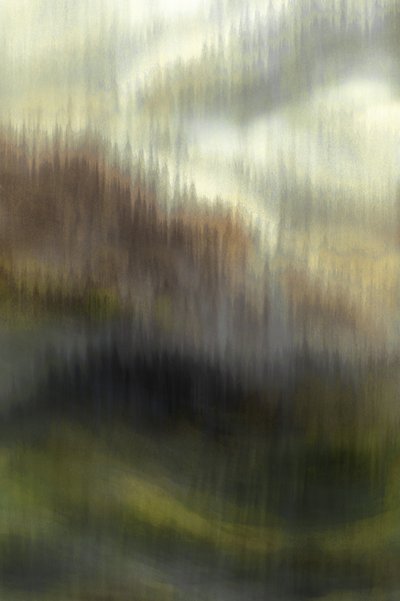 La foresta delle Montagne Nebbiose da Christina Sillen
