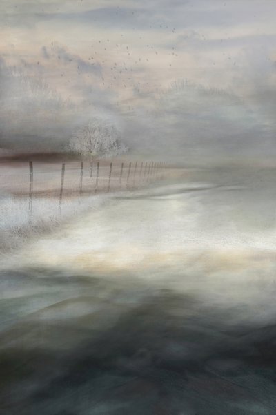 Paesaggio invernale nebbioso da Christina Sillen