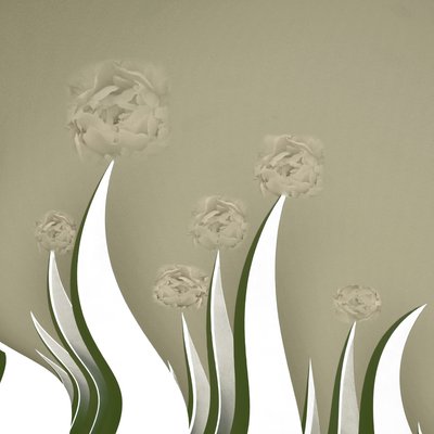 Delicate fioriture color crema da Christina Sillen