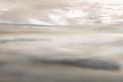 Canto del cigno nella nebbia da Christina Sillen