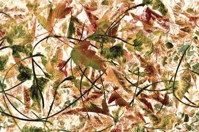 Fogliame autunnale intrecciato da Christina Sillen