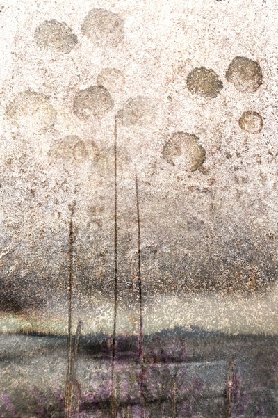 Canne lacustri con texture da Christina Sillen