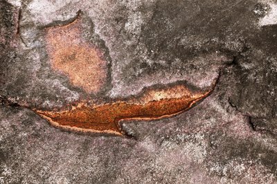 Superficie minerale erosa da Christina Sillen