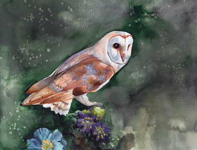 Il barbagianni: fiori notturni da Christine Lindstrom