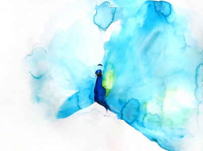 Elegante pavone blu da Christine Lindstrom