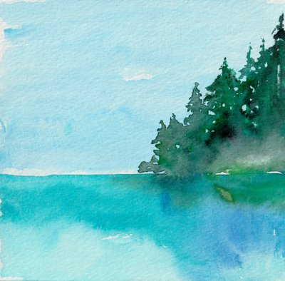 Riflesso nella foresta serena da Christine Lindstrom