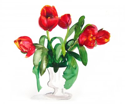 Tulipani rossi vivaci da Christine Lindstrom