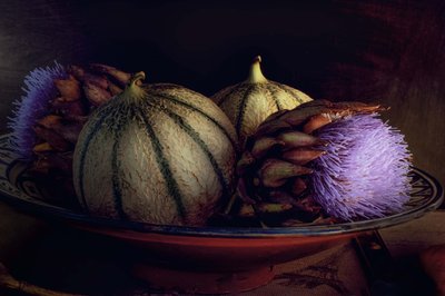 Meloni e cardi viola da Christine SUISSIA
